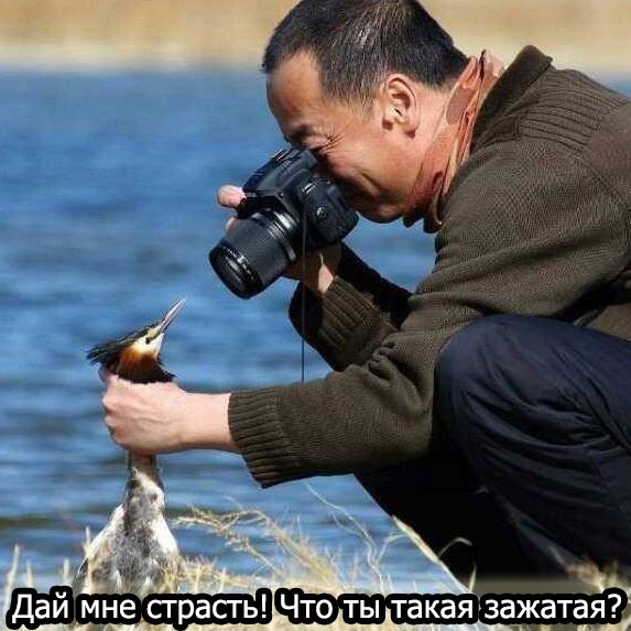 Интересное кино