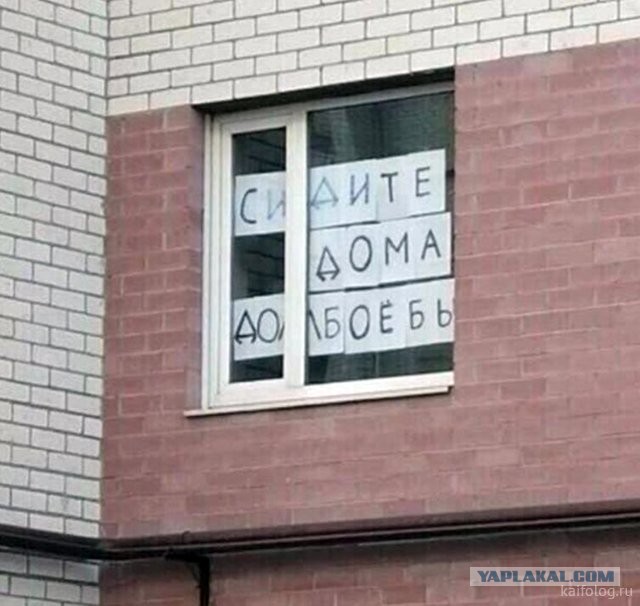 Россия изнутри