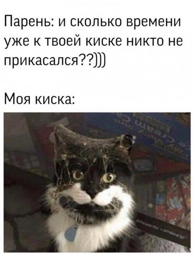 Не очень адекватный юмор 19.08.2020