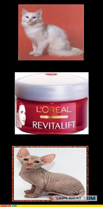 Фотожаба: L'Oreal разгладит все морщины