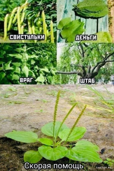 Картинки с надписями и всякие жизненные фразы 27.04.21