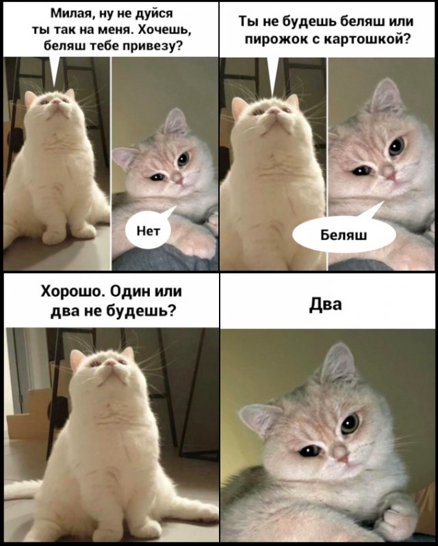 Самые смешные мемы интернета