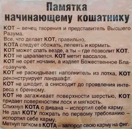 Картинки с надписями и всякие жизненные фразы 1.06.21