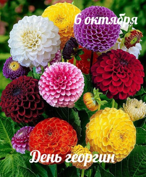 Фабрика секс-роботов обещает