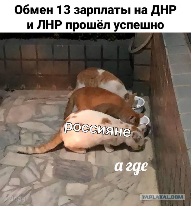 Госдума попросила Президента признать ЛНР и ДНР