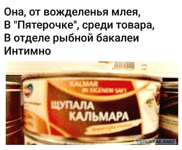 Солянка из разных картинок, для пофтыкать и улыбнуться