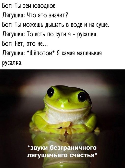 Так себе картинки 11.04.22