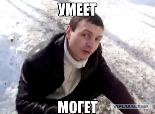 Чиновник учит, как правильно колоть дрова