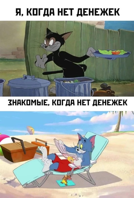 Весёлый полтишок 23.08.22