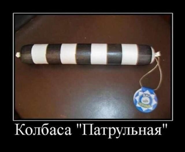 Весёлый полтишок 16.07.23