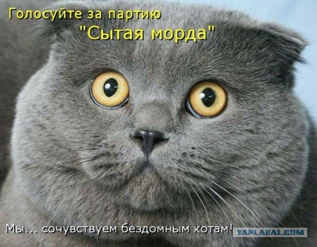 Тлидцать тли от 13 маЛта
