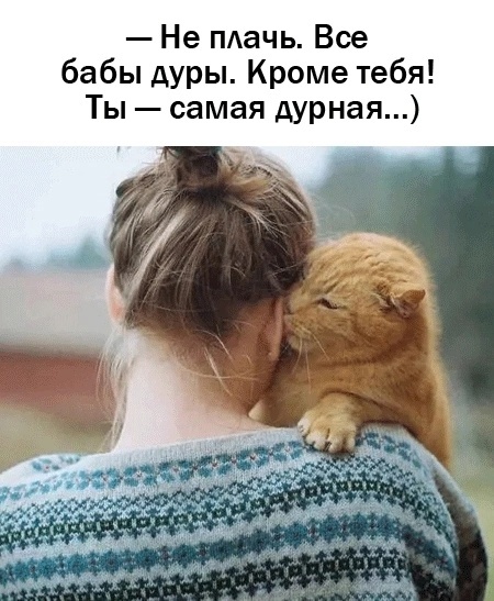 Так себе картинки 13.04.24