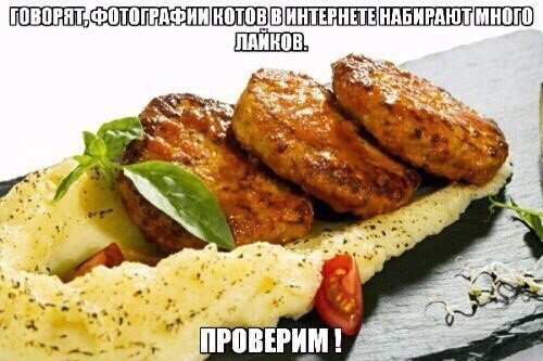 Пятничные 100м2 дичи