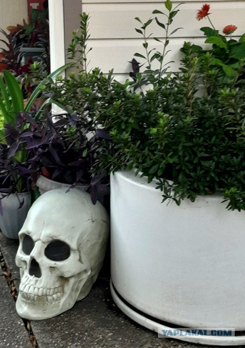 Техас готов к Хэллоуину