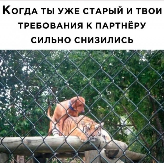 Так себе картинки 15.02.26