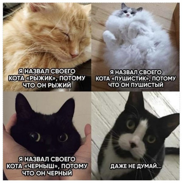 Среда намекает нам о неизбежности пятницы