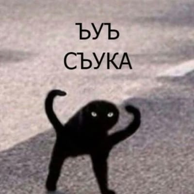*БАЯН*Вася, успокойся!
