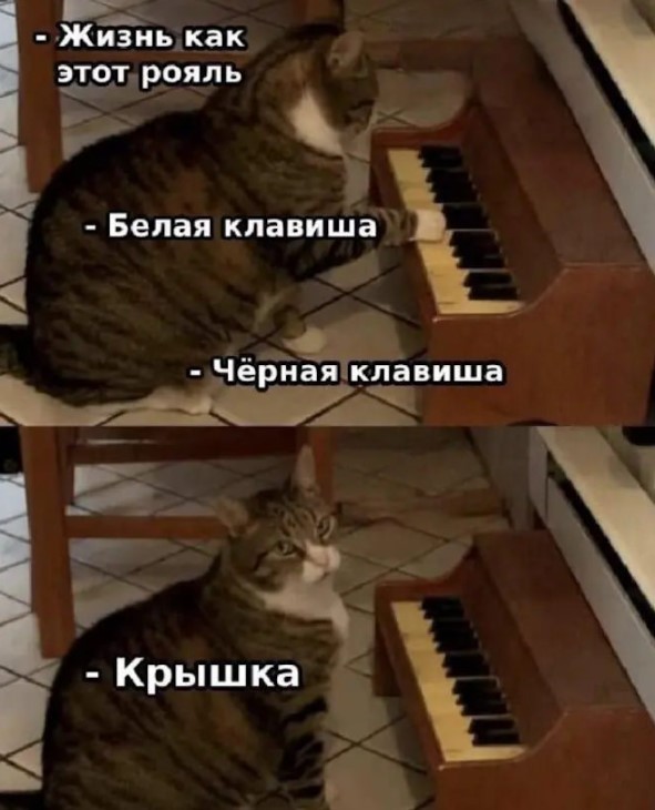 Картиночки, баянчики 01 июля