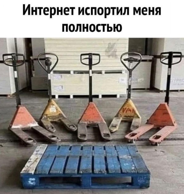 Картинки для деградации 269 (разной степени свежести)