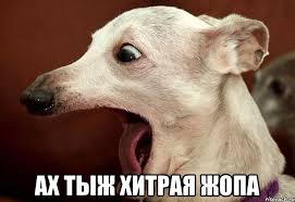 Житель Воронежа навязал банку условия кредита