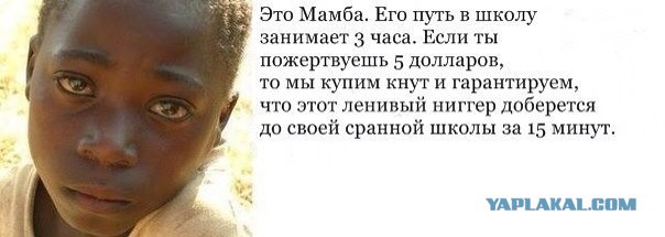 Вот такое объявление на Авите