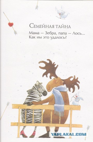 331595.jpg