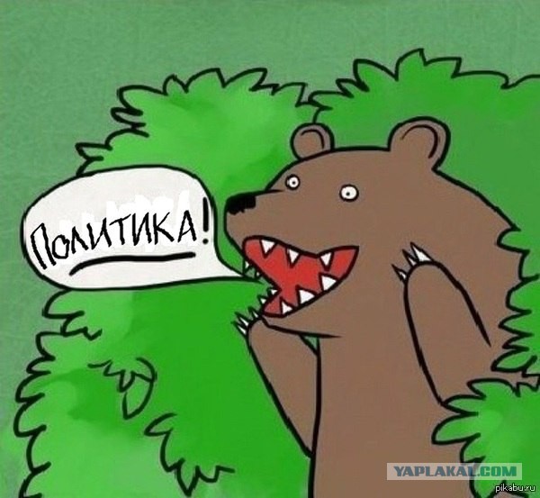 Медведи почти на все случаи жизни