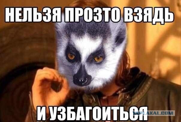 Девушки Екатеринбурга в борьбе за холостяка