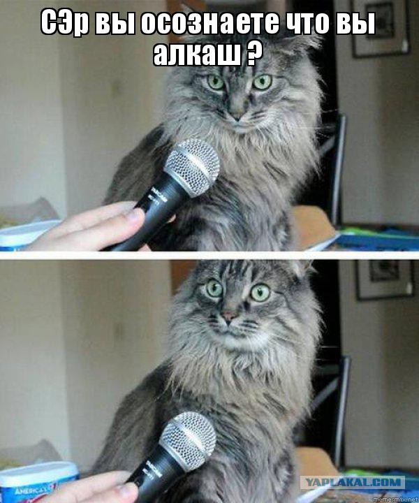 Говорит что я алкаш...