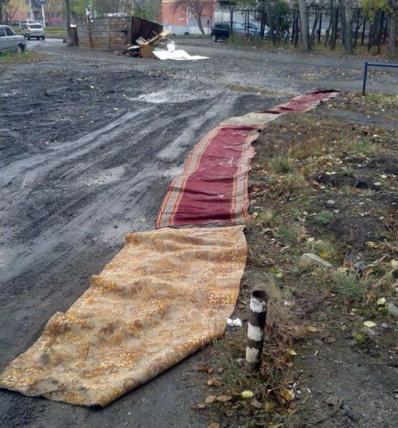 Весёлые картинки