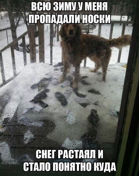 Приколы из соцсетей