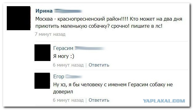 Смешные комментарии из социальных сетей