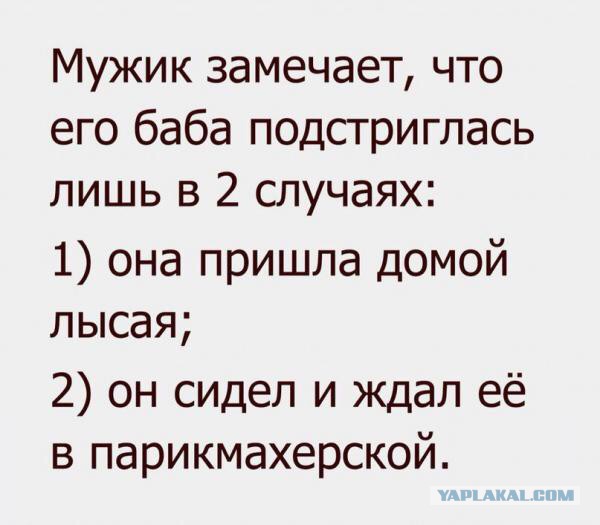 Забавные картинки из Сети