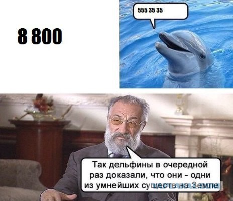 Абсурдный юмор ч.2