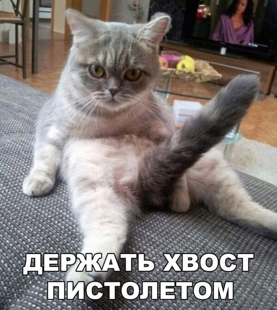Картинки на пятницу