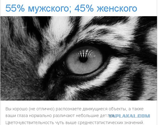 Тест: Вы воспринимаете этот мир глазами мужчины или женщины?