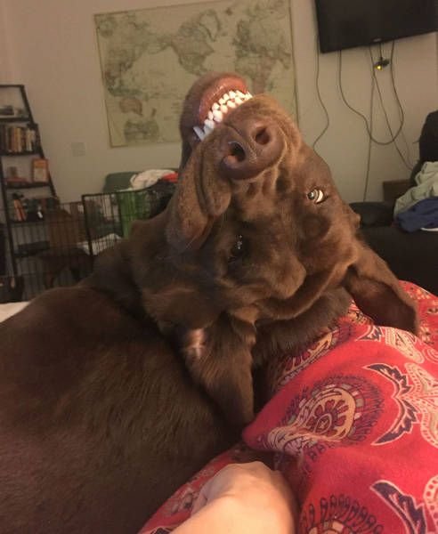 Подборка интересных и веселых картинок