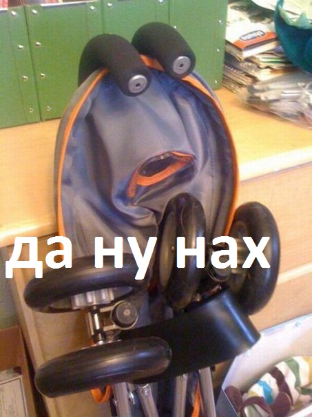 Смешные картинки с надписями