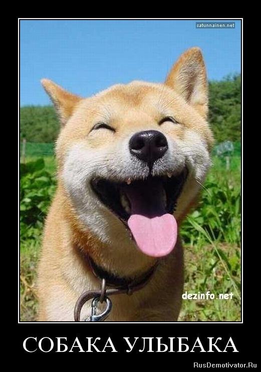 Второе спасение Жопика