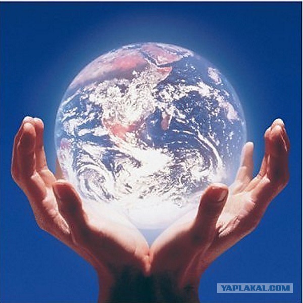 Интересные и веселые картинки