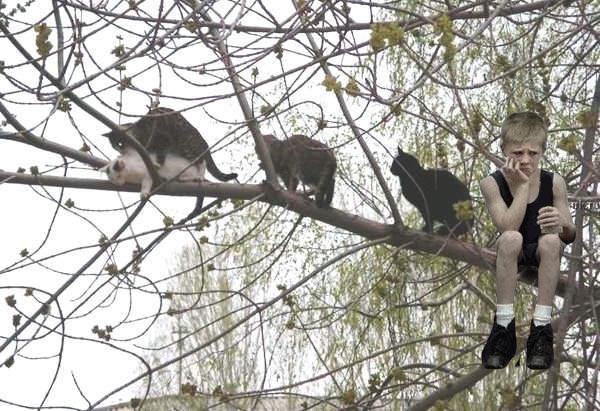 Фотожаба: Несчастный спортсмен