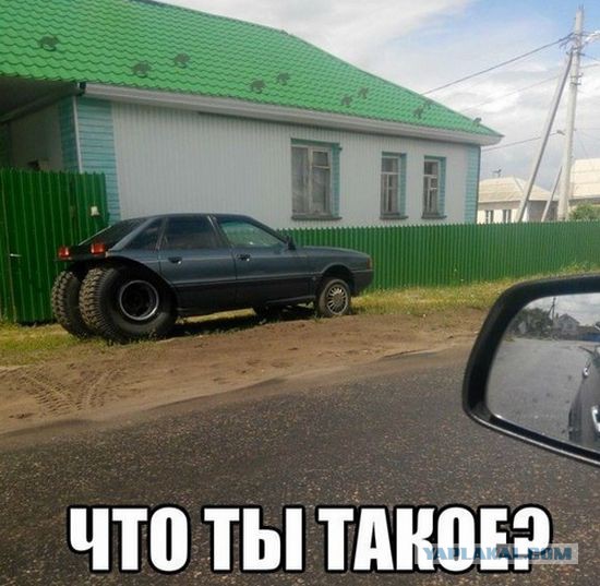 Несколько картинок