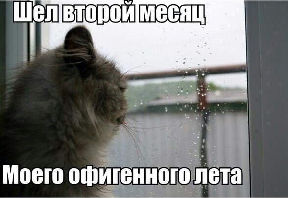 Вот оно какое, наше лето.