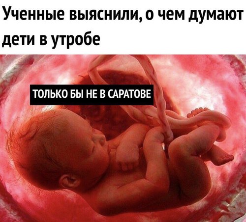 В Саратове мужчину сбили на пешеходном переходе