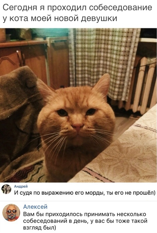 Картинок пост