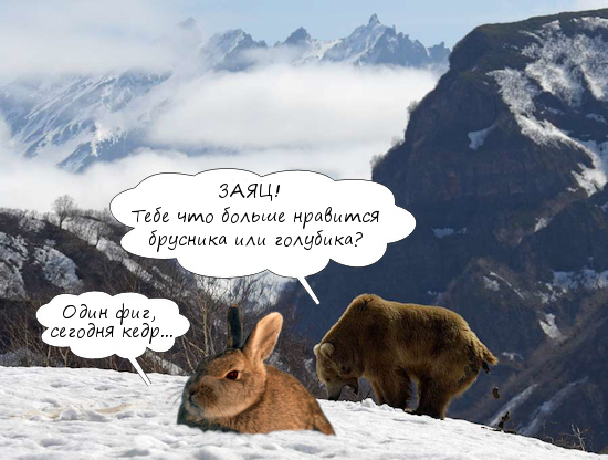 Какой стол, такой и стул!