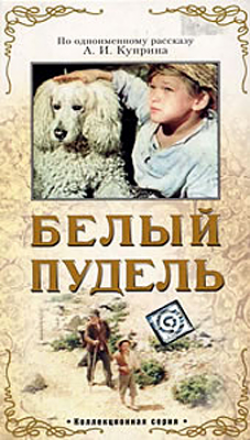 Киногерои на четырёх лапах
