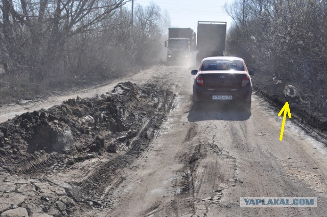 Водителей начали штрафовать за проезд без оплаты по М4 в Воронежской области