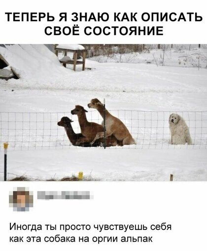 Чаёк с тортиком