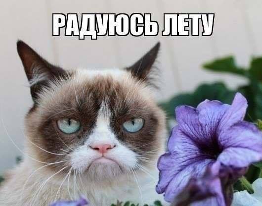 Картинки с надписями и анекдоты 21.07.19